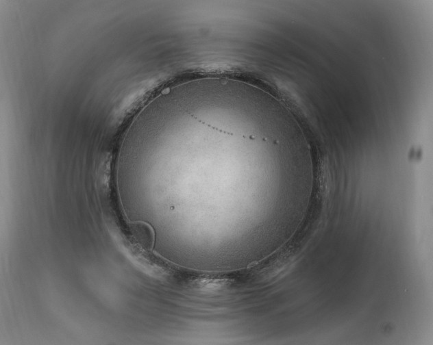 X0000111040495200906251405