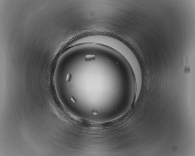 X0000111040496200906251405