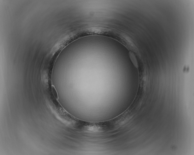 X0000111040500200906251405