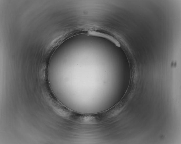 X0000111040501200906251405