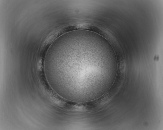 X0000111040502200906251405