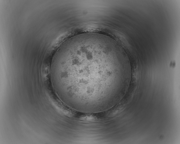 X0000111040503200906251405