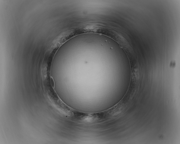 X0000111040504200906251405