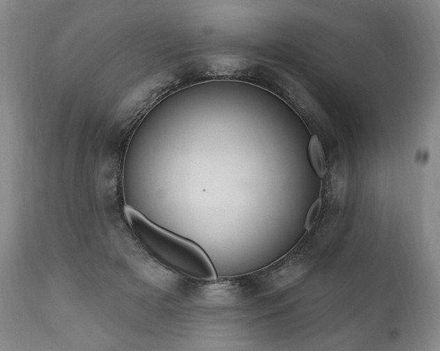 X0000111040505200906251405