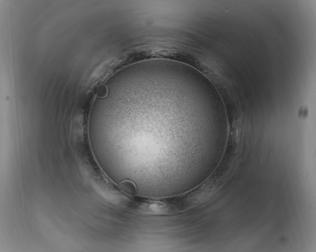X0000111040506200906251405