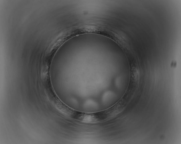 X0000111040507200906251405