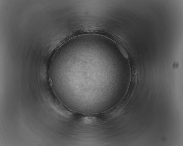 X0000111040508200906251405