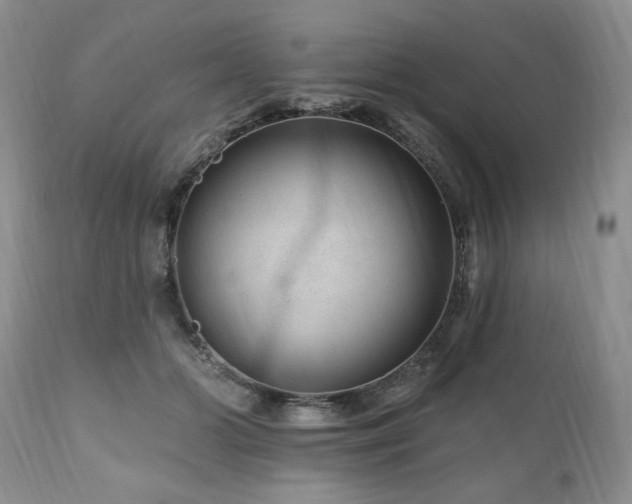X0000111040510200906251405