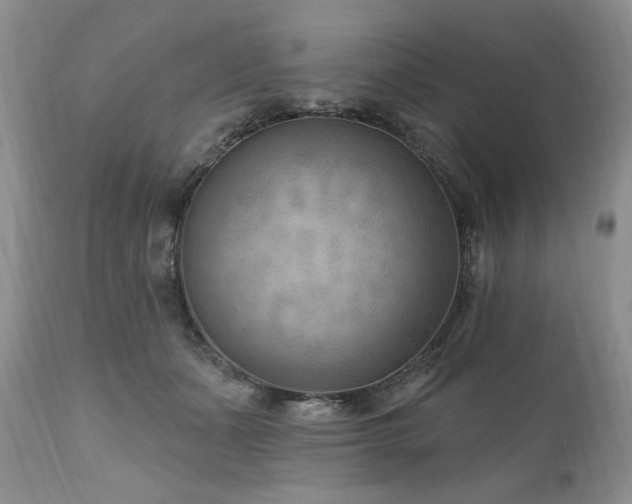 X0000111040511200906251405