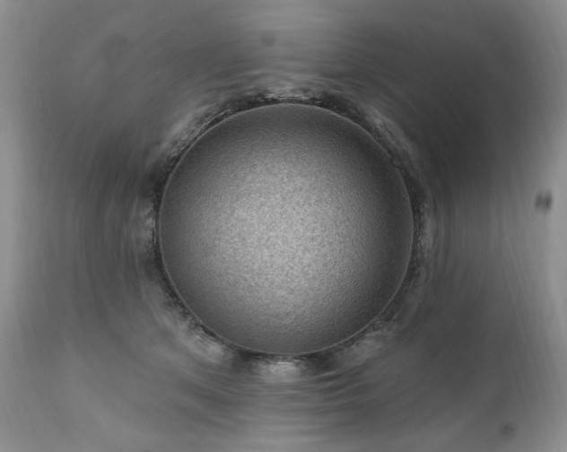 X0000111040513200906251405