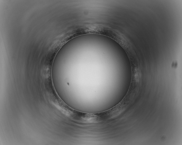 X0000111040514200906251405