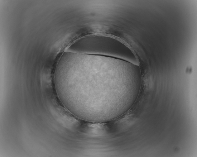 X0000111040516200906251405
