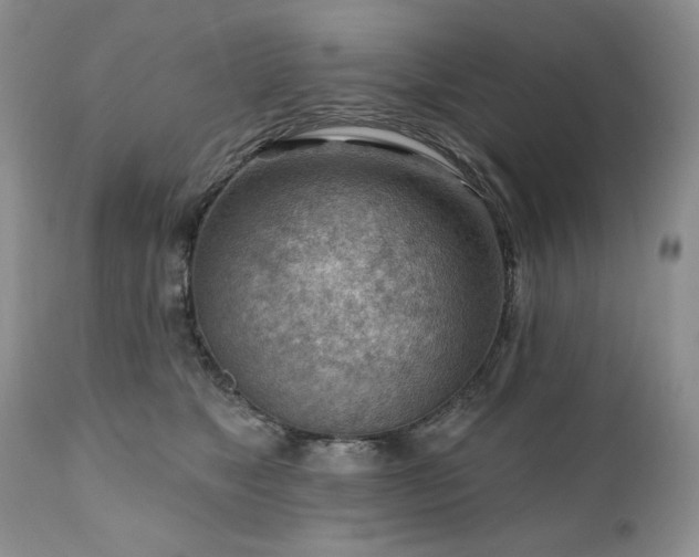 X0000111040517200906251405