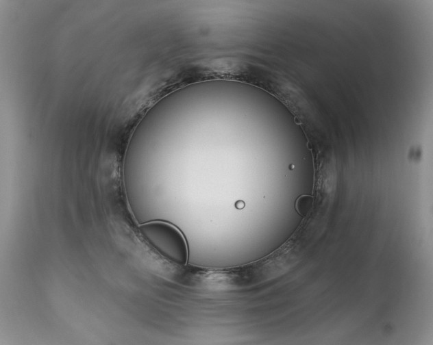 X0000111040518200906251405