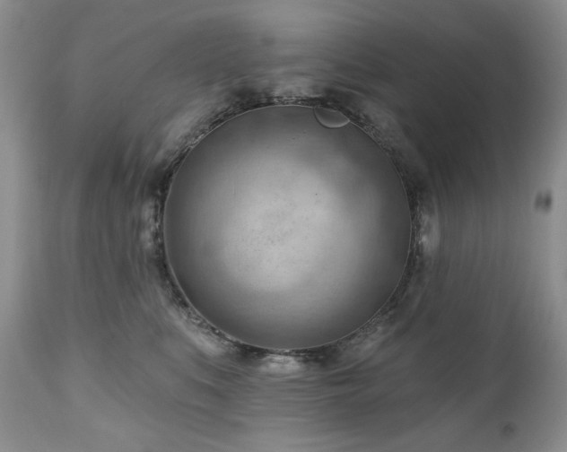 X0000111040519200906251405
