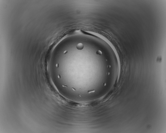 X0000111040520200906251405