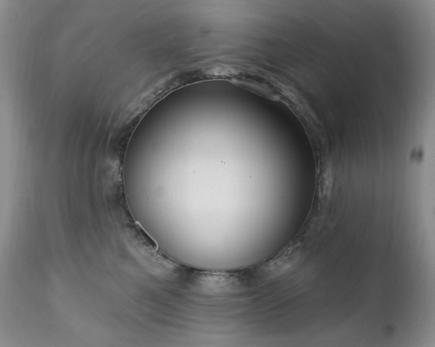 X0000111040521200906251405