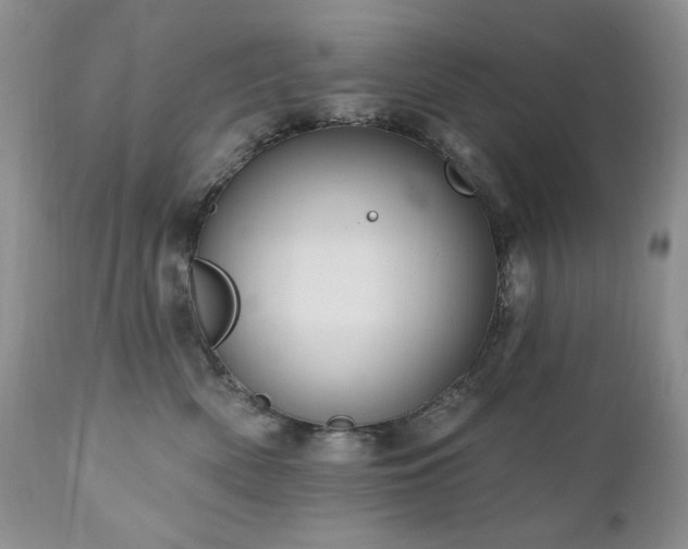 X0000111040522200906251405