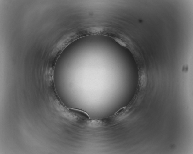 X0000111040525200906251405