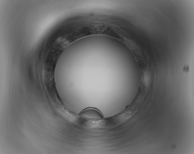 X0000111040526200906251405