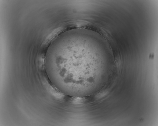 X0000111040527200906251405