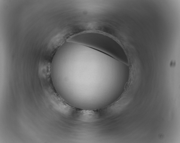 X0000111040528200906251405