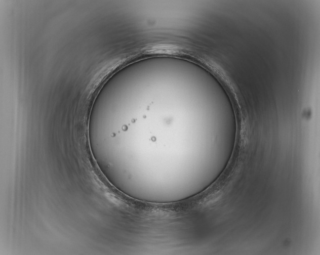 X0000111040529200906251404