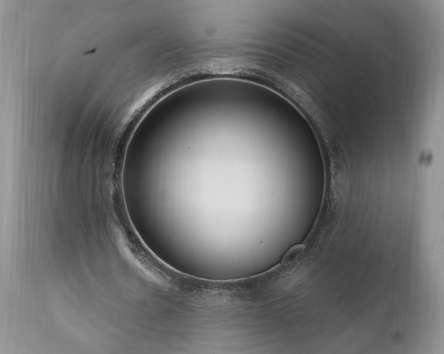 X0000111040530200906251404