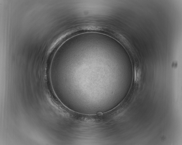 X0000111040531200906251404