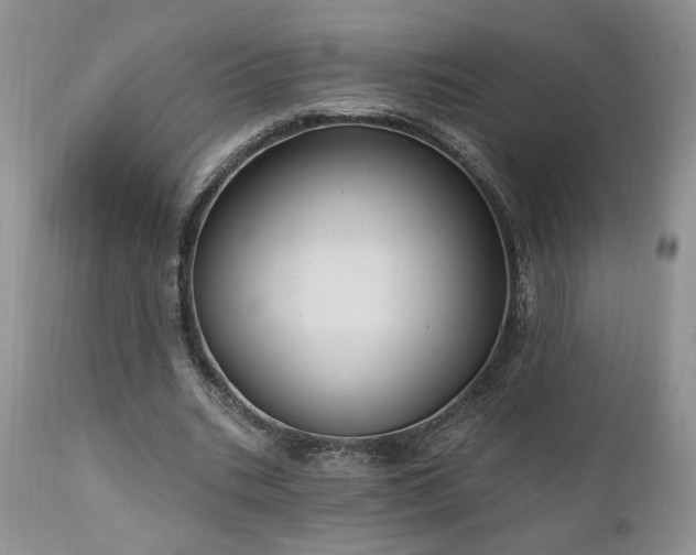 X0000111040535200906251404
