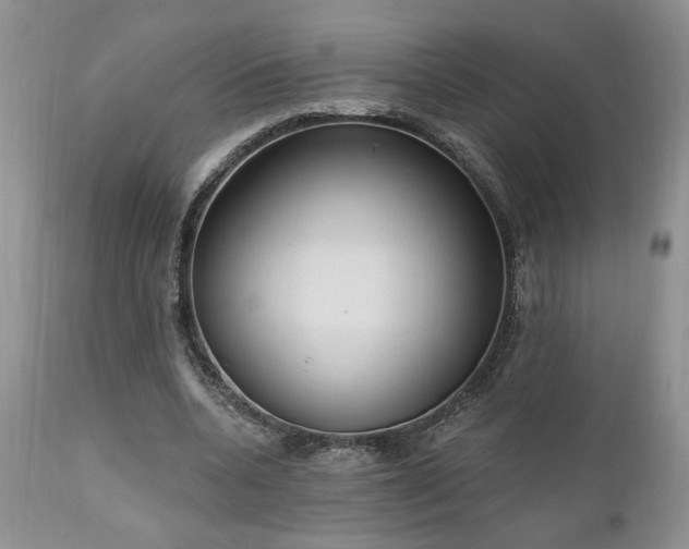 X0000111040536200906251404