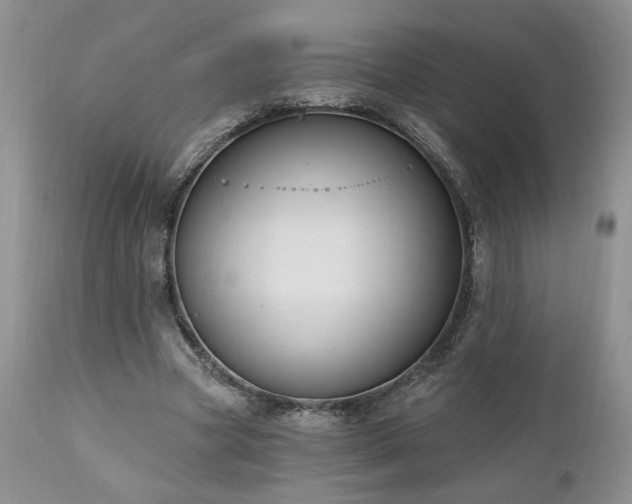X0000111040537200906251404