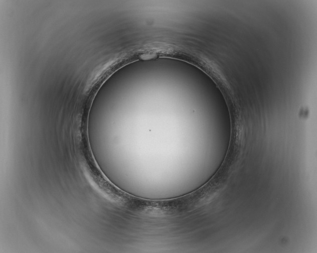 X0000111040538200906251404