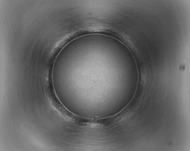 X0000111040539200906251404