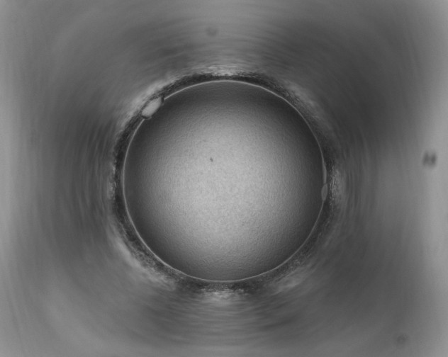 X0000111040540200906251404