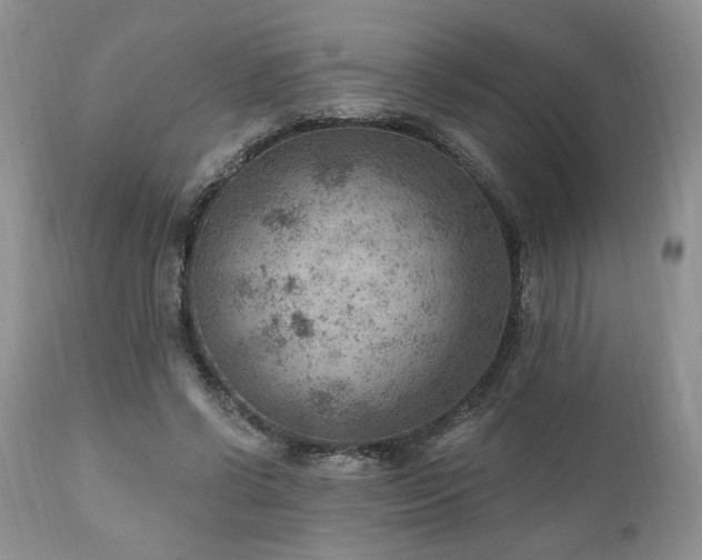 X0000111040542200906251404
