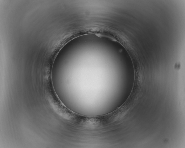 X0000111040546200906251404