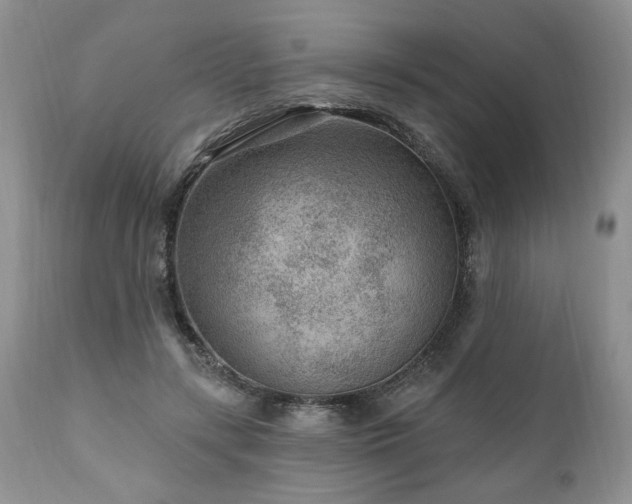 X0000111040547200906251404