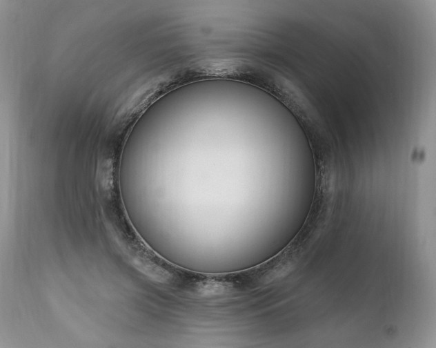 X0000111040549200906251404