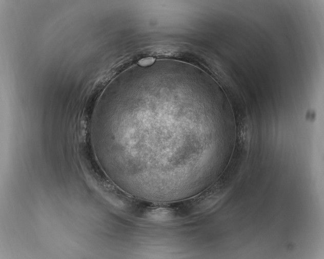 X0000111040551200906251404