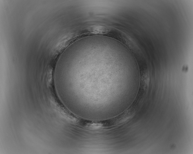 X0000111040554200906251405