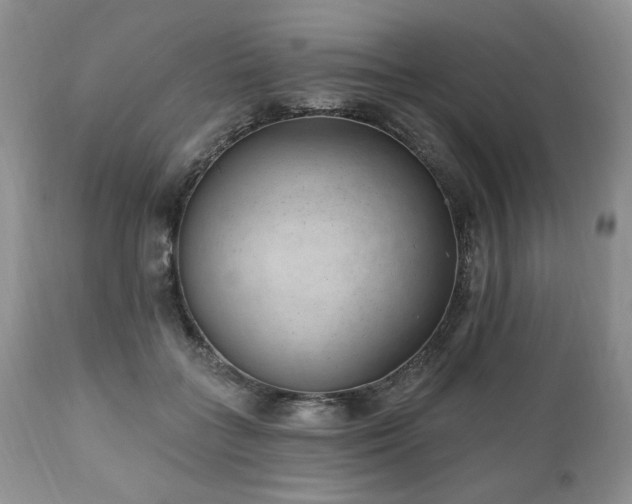 X0000111040555200906251405