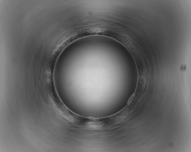 X0000111040556200906251405