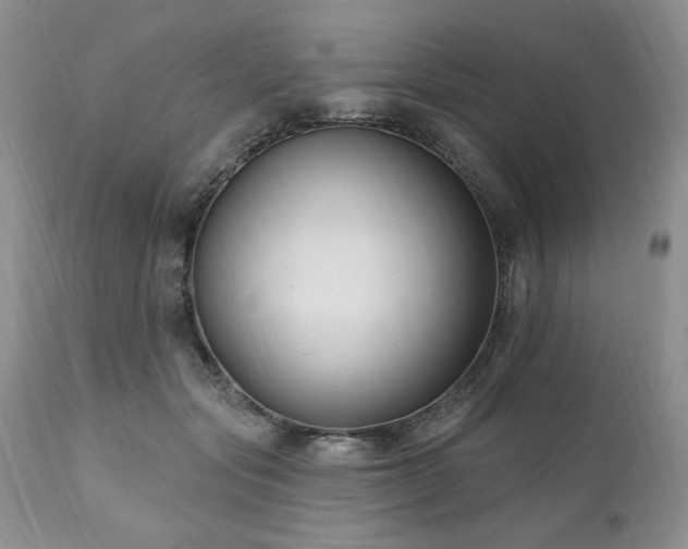 X0000111040557200906251405