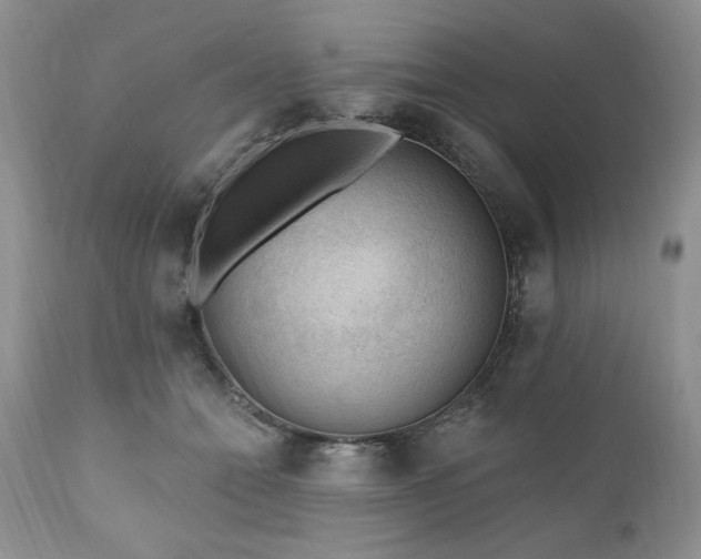 X0000111040558200906251405