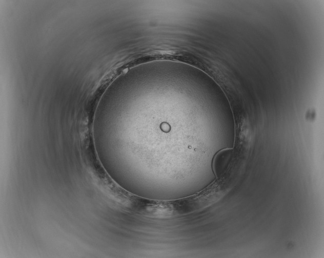 X0000111040559200906251405