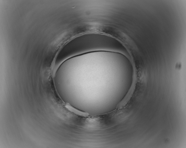 X0000111040560200906251405