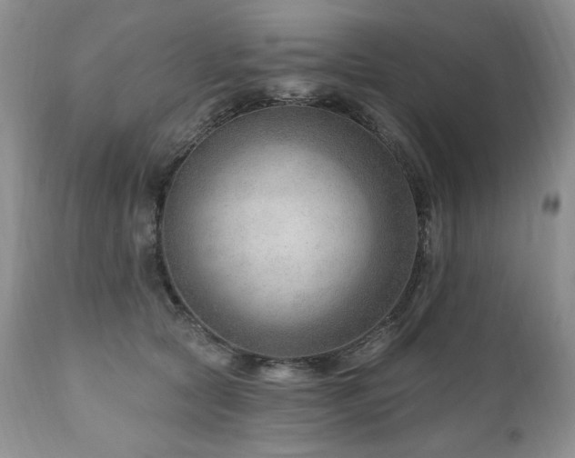 X0000111040561200906251405