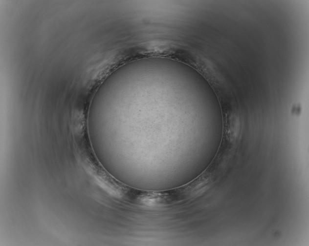 X0000111040563200906251405