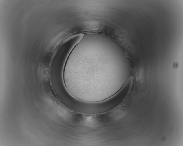 X0000111040564200906251405